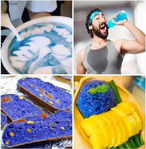 phycocyanin31004893047 phycocyanin31004893047