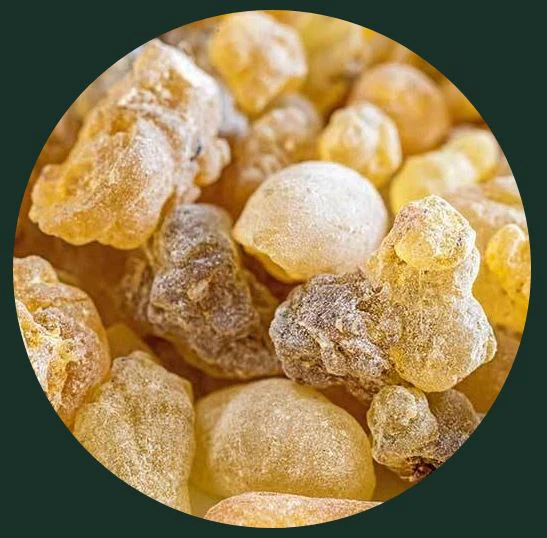boswellia extract boswellia extract