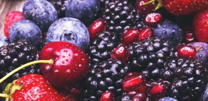 What is anthocyanin good for What is anthocyanin good for