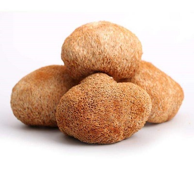 Kas ostate päris seeni? Miks on lõvilõika ekstrakt läbinud ID-ga oluline?