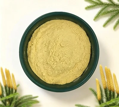 Kas Lycopodium on homopoorne või heterospoorne? Lycopodiumi pulbri tarnija botaaniline juhend