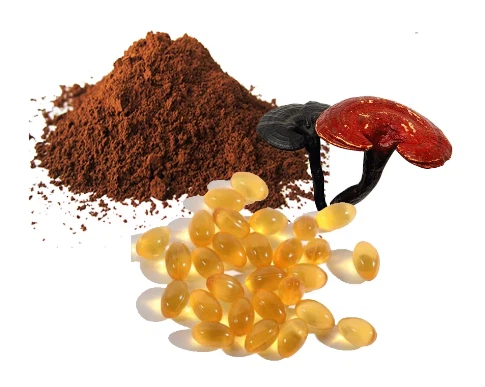 Reishi eoste ekstrakt