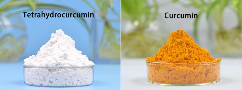 Colombia klient ostab Curcumiini 95% tagasiside