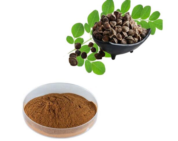 Moringa seemneekstrakt