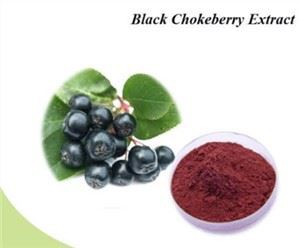 Black Chokeberry pulber