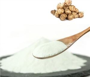 Sigurijuure ekstrakti kiud