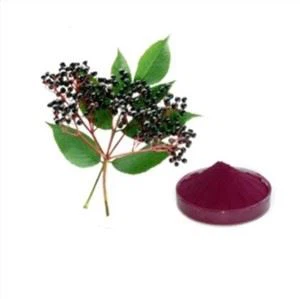 Elderberry mahlapulber