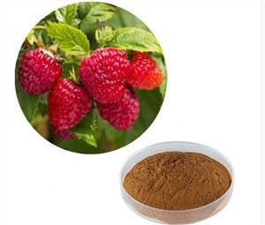 Vaarika ketooni pulber