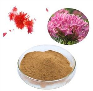 Rhodiola Rosea ekstrakt