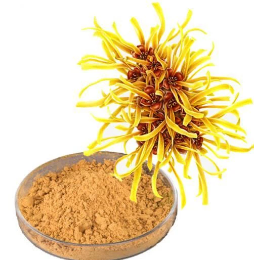 Hamamelis Virginiana nõia sarapuulehe ekstrakt