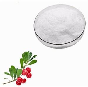 Bearberry ekstrakti pulber