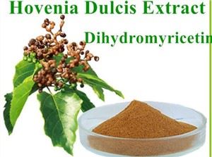 Parim Hovenia Dulcise ekstrakti pulber
