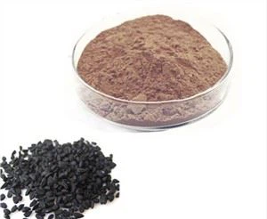Nigella Sativa seemnepulber