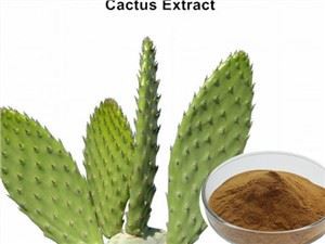 Viigikaktuse ekstrakti pulber