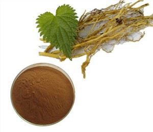 Kõrvenõgese seemne ekstrakt