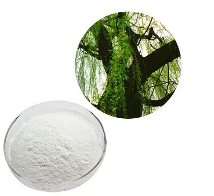Salitsiin